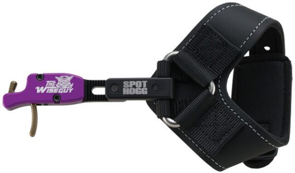 spot hogg wise guy release