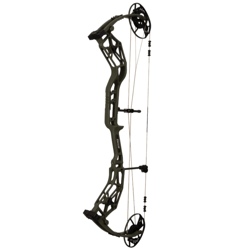 Bear-Alaskan-xt
