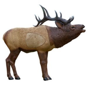 rinehart 3d target