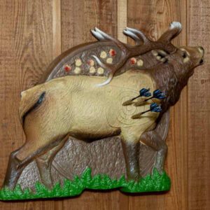 rinehart 3d target