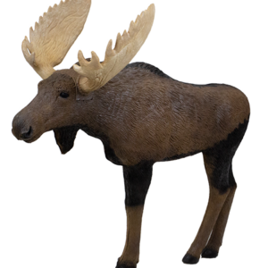 rinehart 3d target