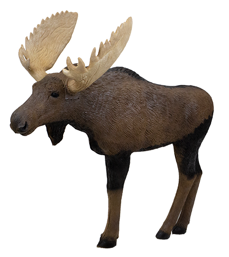 rinehart 3d target